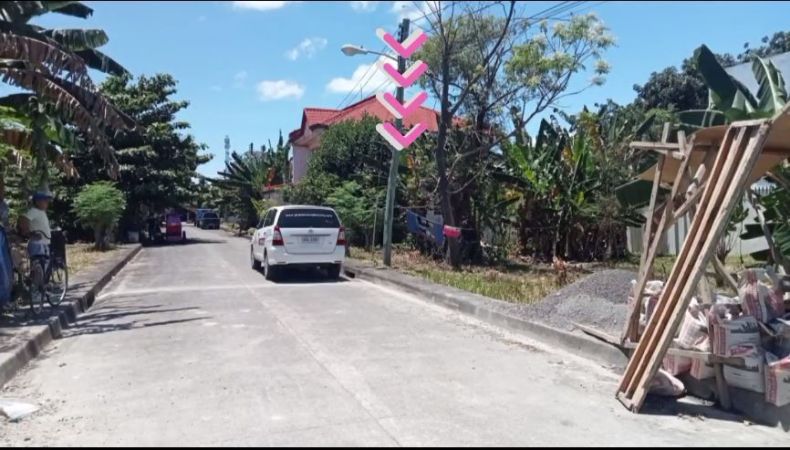 For Sale: 240sqm Residential Lot in Golden Meadows, Cordova, Cebu