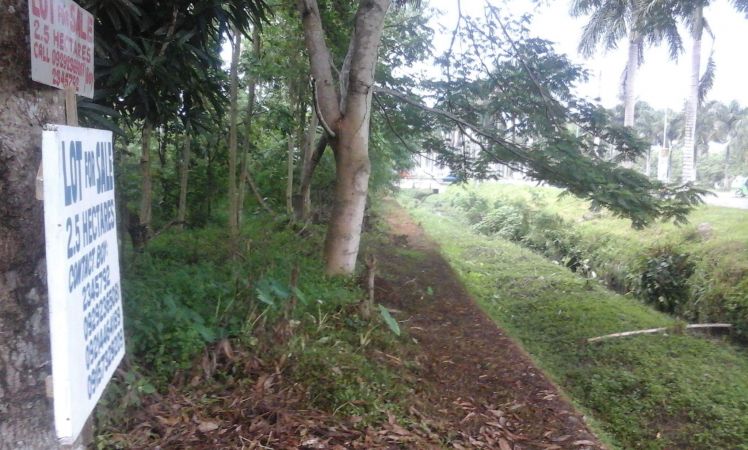 for-sale-lot-2-5-hectares-25-000-sq-meters