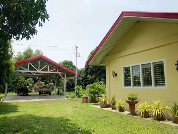 Mango Farm in Arayat, Pampanga for Sale