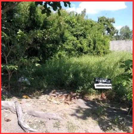 For Sale 510 sqm lot for Sale Greenville Subd. San Fernando Near SM ...