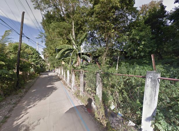 Lot for Sale in Liloan, Cebu