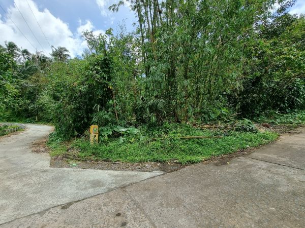 7,255 sq. meters Farm Lot for Sale in Lucban, Summer Capital of Quezon