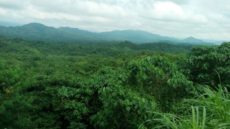 7,000 Hectare Brgy. Rio Chico Gen. Tinio Nueva Ecija