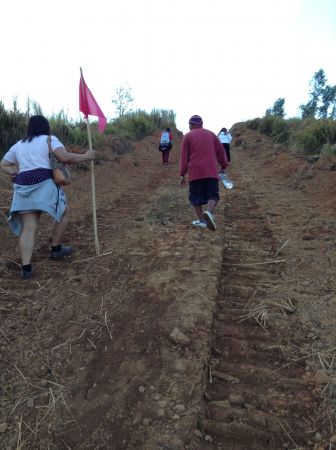 4 hectares farm lot in nueva ecija gabaldon