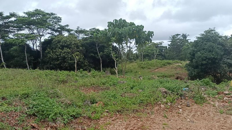 Initao Lot for Sale for Investment