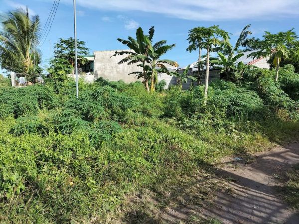 For Sale Home/Commercial Lot in Brgy. Cannery Site, Polomolok, South ...