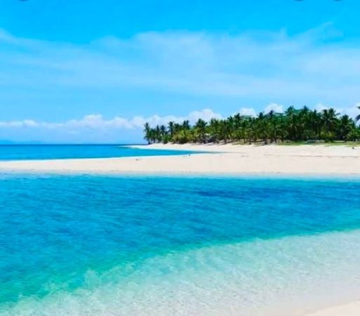 islands-for-sale-with-white-sand-blue-clear-water-coconut-tree