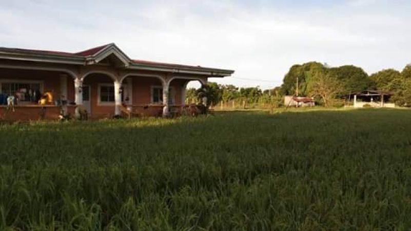 House and Lot for Sale