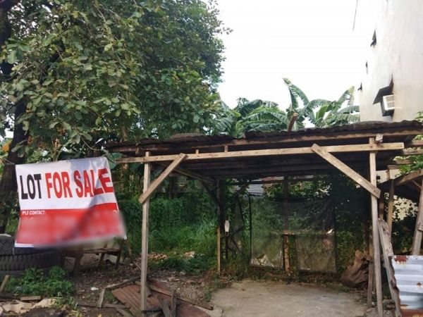 For Sale 90 Sqm Residential Lot In Tierra Nova Royale, Brgy 171 ...