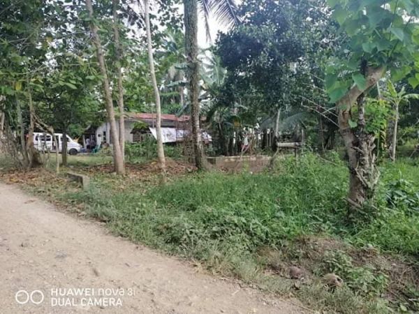 Installment Residential Lot in Ubay,Bohol