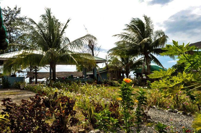 Beach Front Property for Sale