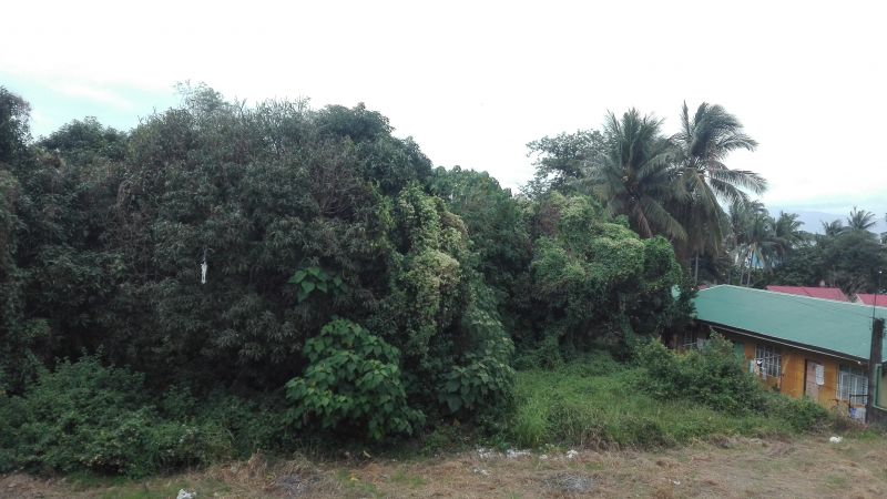 Residential Lot For Sale at San Pascual, Batangas