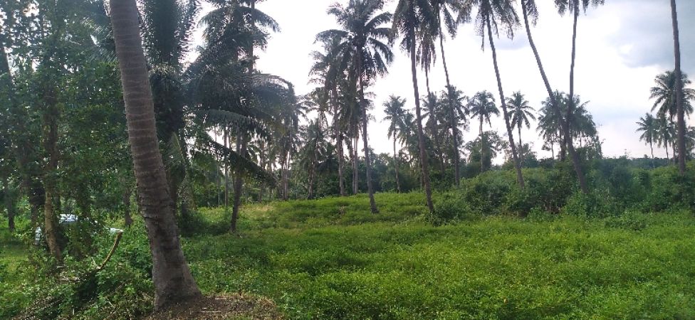 Agricultural land, Farm Lot, at Niyugan, Calaca, Batangas