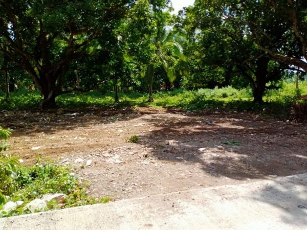 Farm Lot for sale at Batas Dao, GMA, Cavite