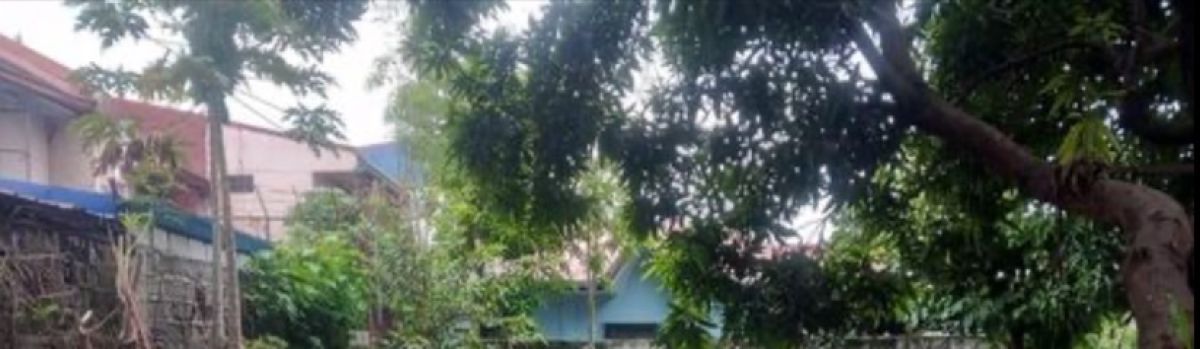 232 sq.m. Lot for Sale in San Isidro, Cabuyao, Laguna ( clean title)
