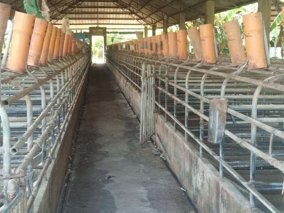 Clean Title Piggery Farm with Business Permit at Dinalupihan Bataan