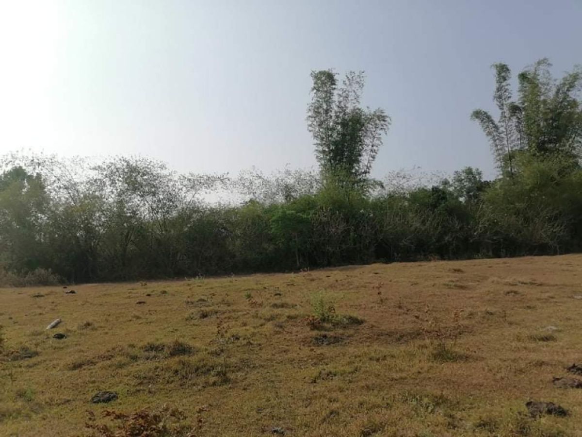 1 Has Titled Agricultural Lot in Burgos Pangasinan For sale
