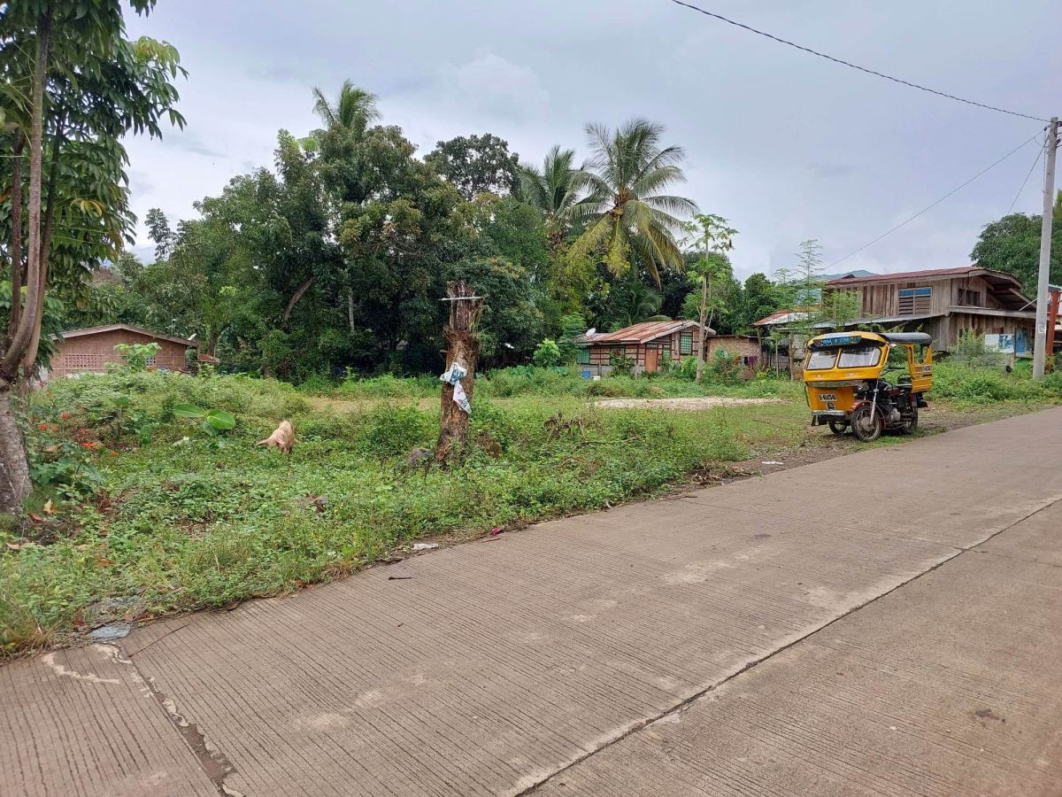 For Sale: 360 sqm Residential Lot in Digos City, Davao del Sur