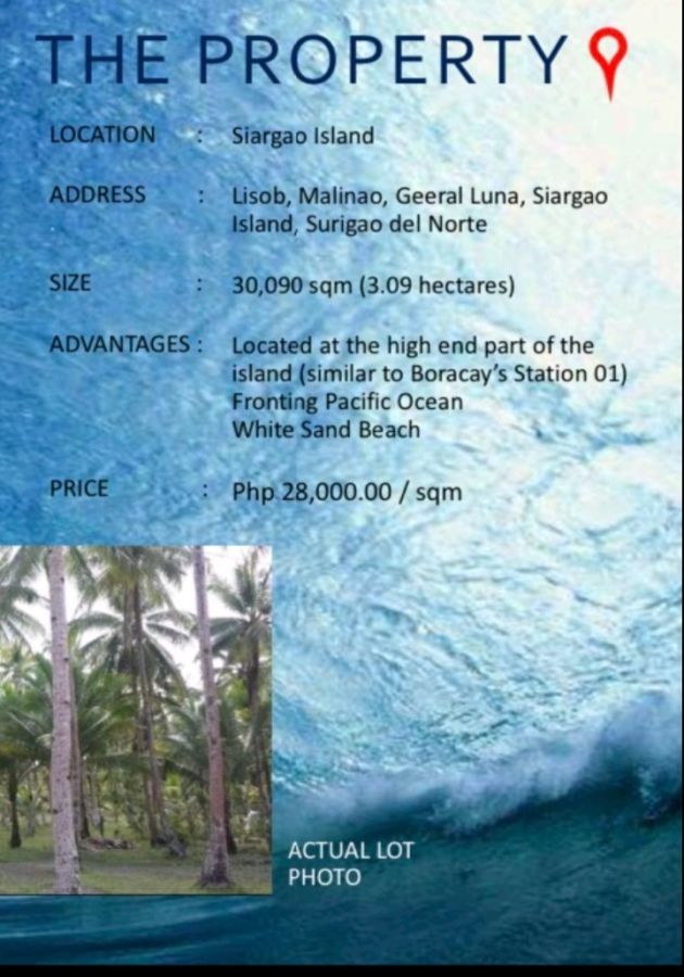 Siargao Beachfront Lot For Sale, Surigao del Norte with clean title