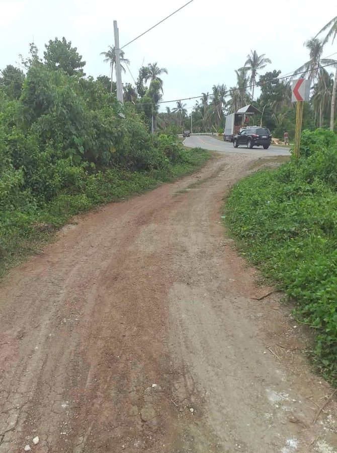 For Sale 1,266 sqm Agricultural Lot along the road, Macrohon