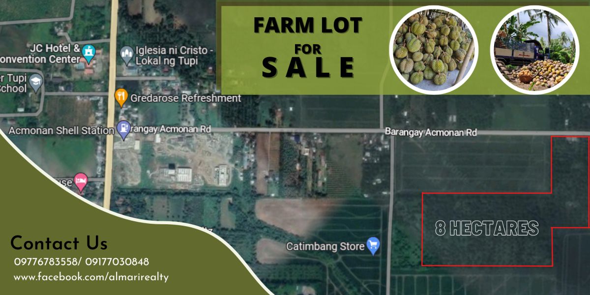 farm lot for sale / ideal for residential and commercial lot