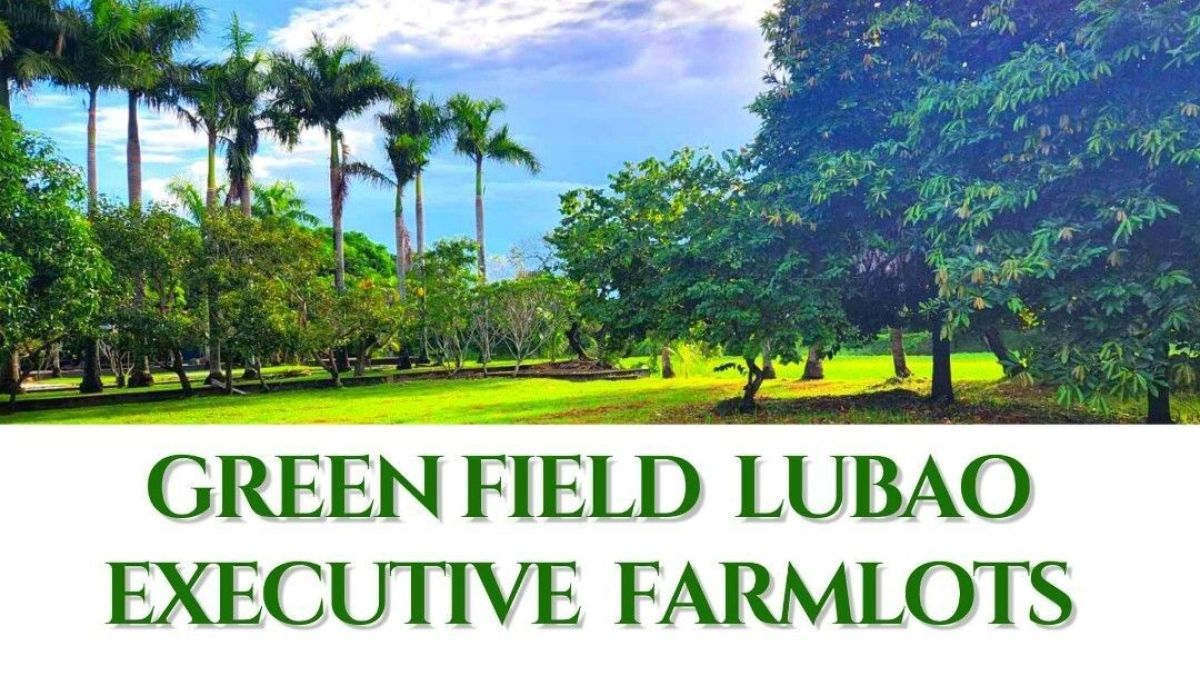 300 sqm Farm Lot for Sale at Green Field Lubao Executive Farmlots in Pampanga