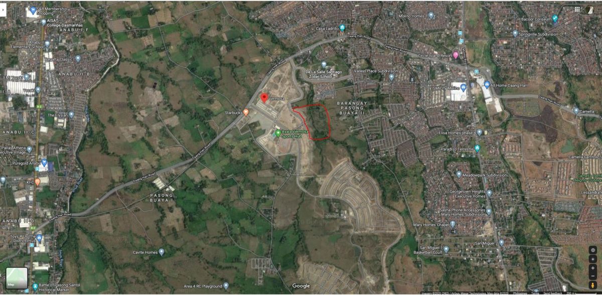 8,634 Sqm Land For Sale in Daang-Hari Vermosa Imus Cavite