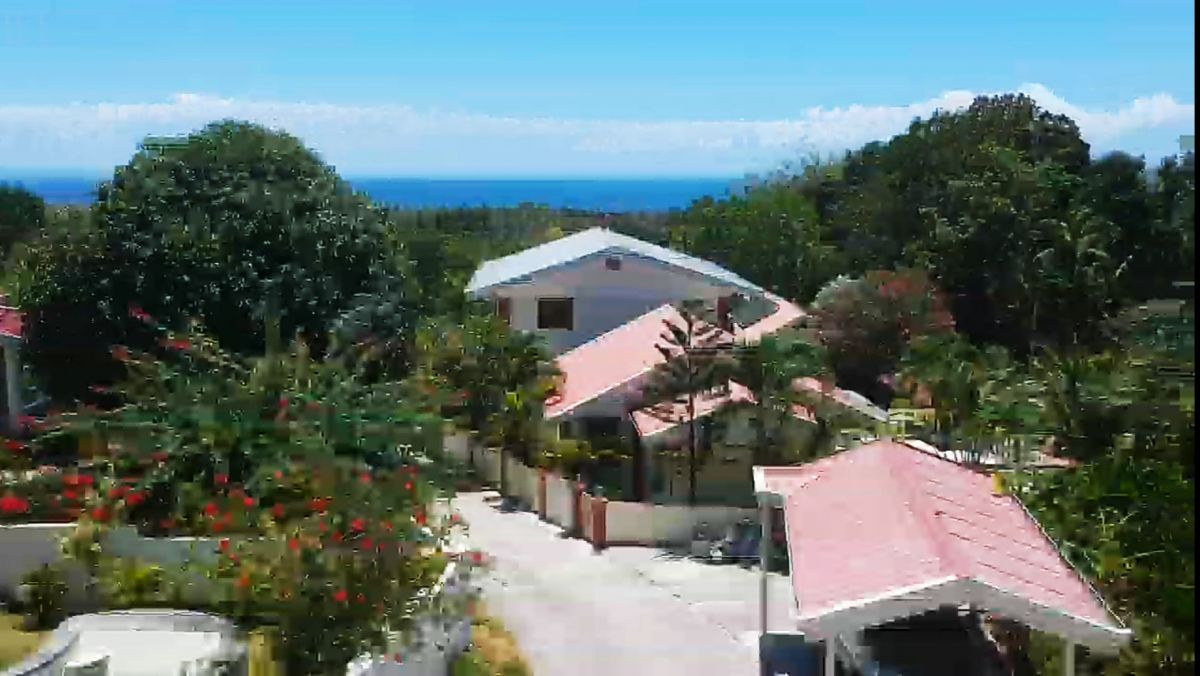 2 Residential Houses with Guest House for Sale, Alcoy, Cebu