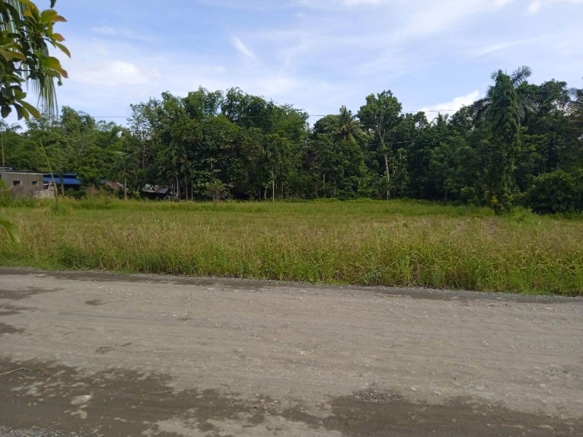 9,600 sq. meters Agricultural lot for sale at Jibolo, Janiuay, Iloilo