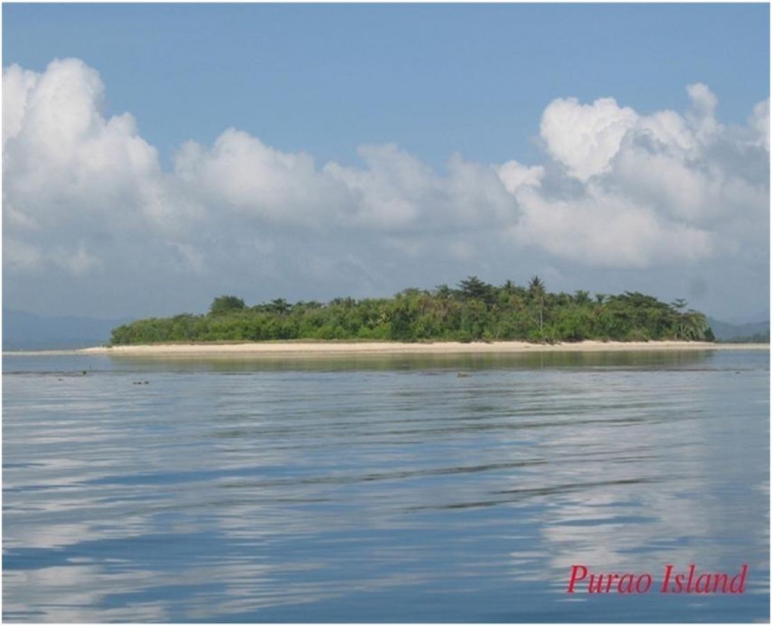 Beach lot For Sale at Roxas, Palawan