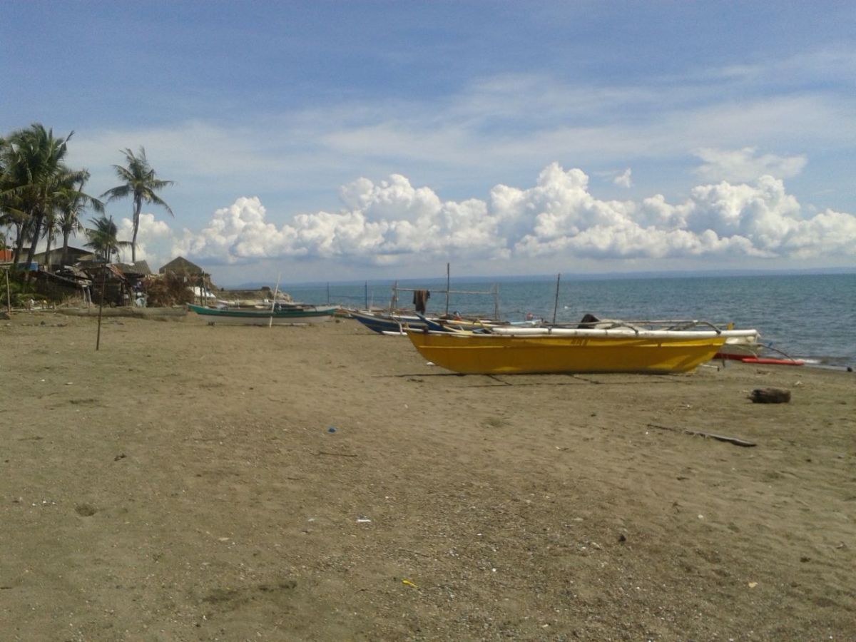 1.5 hectare Beachfront property in Tigbauan town proper Iloilo City - 3k /sqm