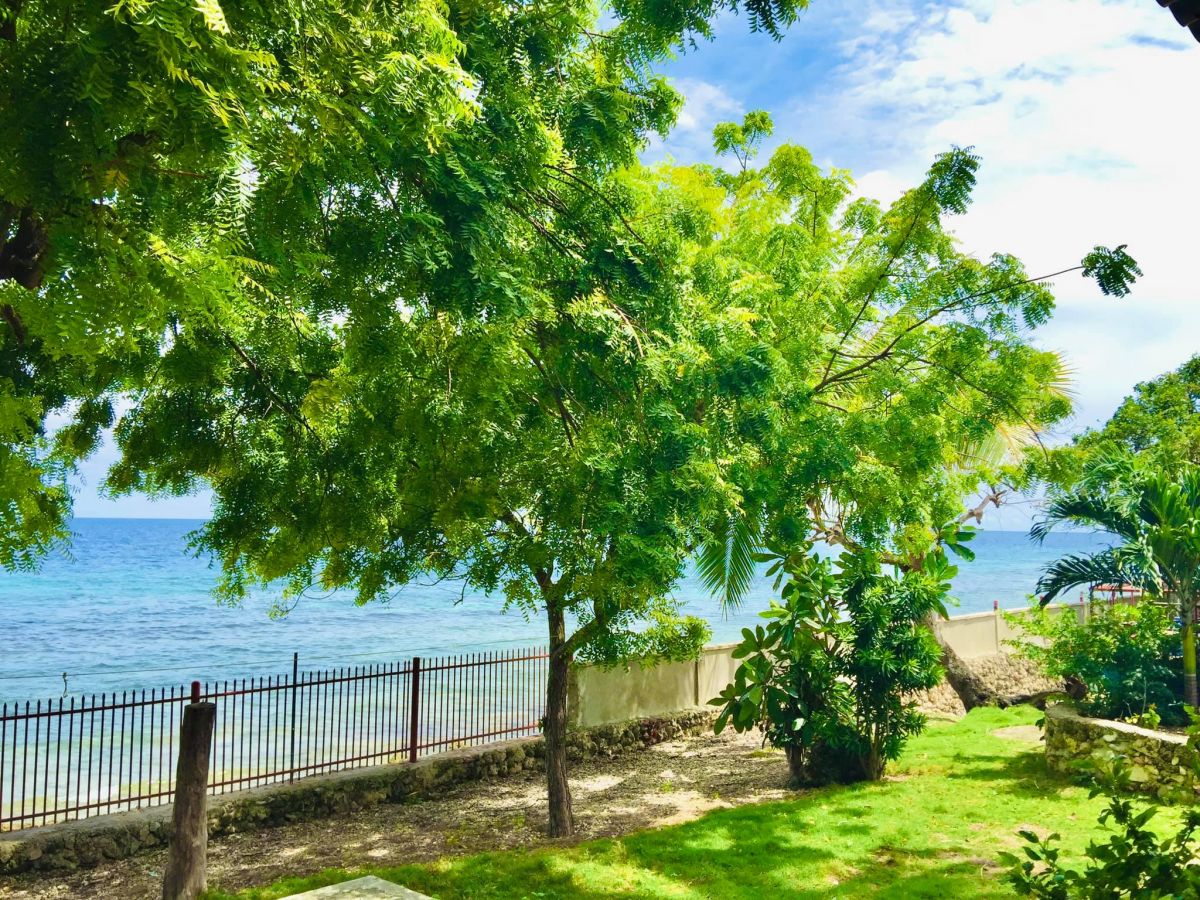 Beach Front House(s) and Lot in Oslob, Cebu (w. private road from national road)