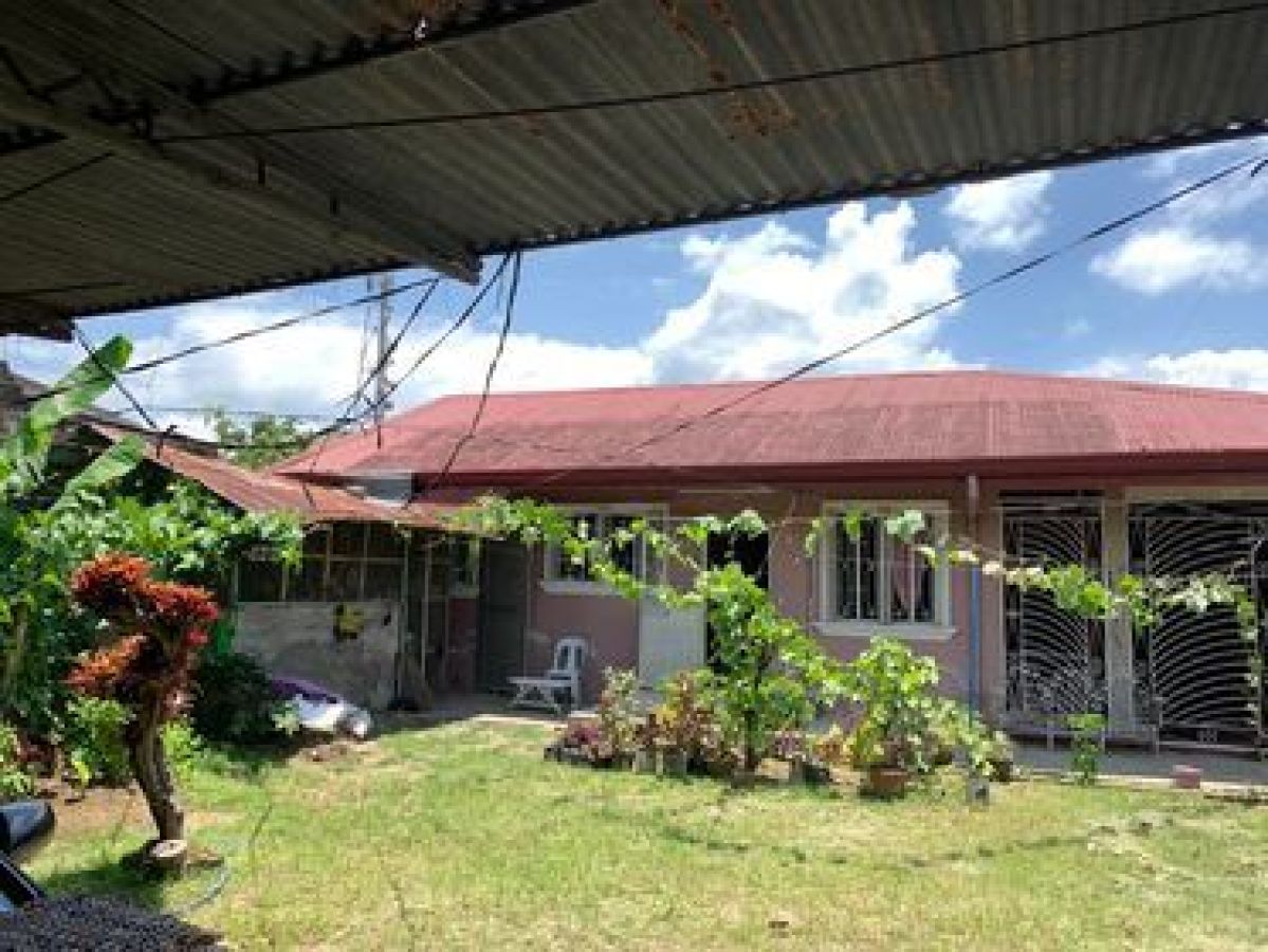 house and lot in calauan laguna