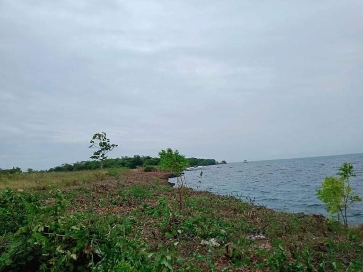 4,107 sqm Beach Lot for Sale in Pangan-An, Lapu-Lapu Island Cebu