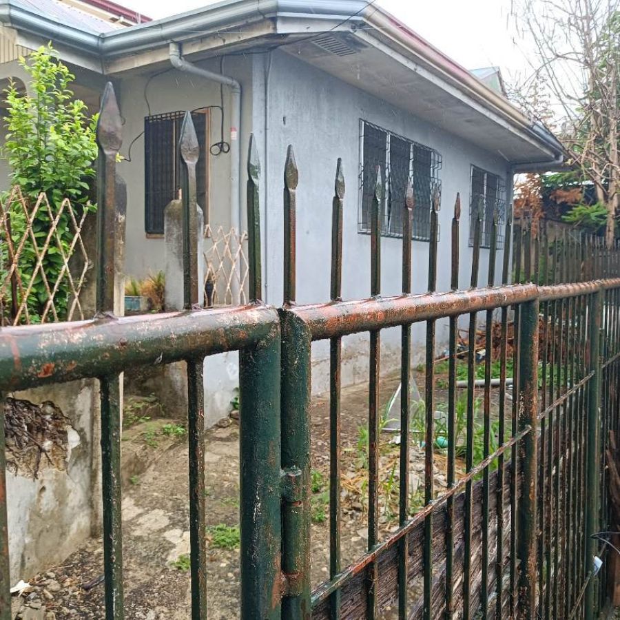 A single detached house and lot at Camella Homes Tierra Grande Talisay, Cebu.