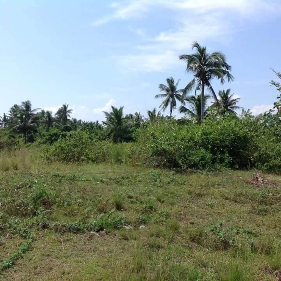 Dinahican Infanta Beach Lot For Sale in Brgy.Dinahican, Infanta, Quezon