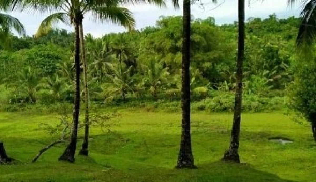 Agricultural Land for sale at Cabadiangan, Sipalay, Negros Occidental