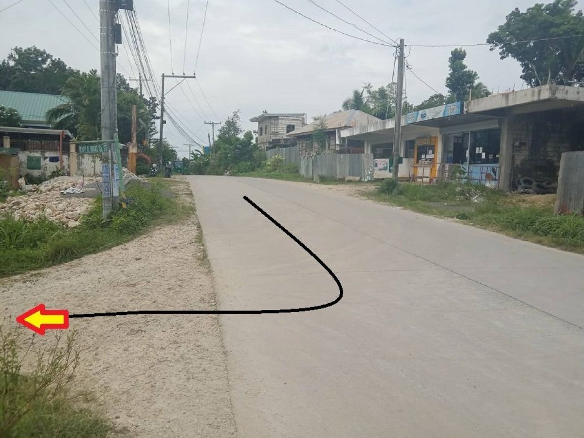 150 sqm Residential Lot for Sale - 4 year to Pay, in Tagbilaran City, Bohol