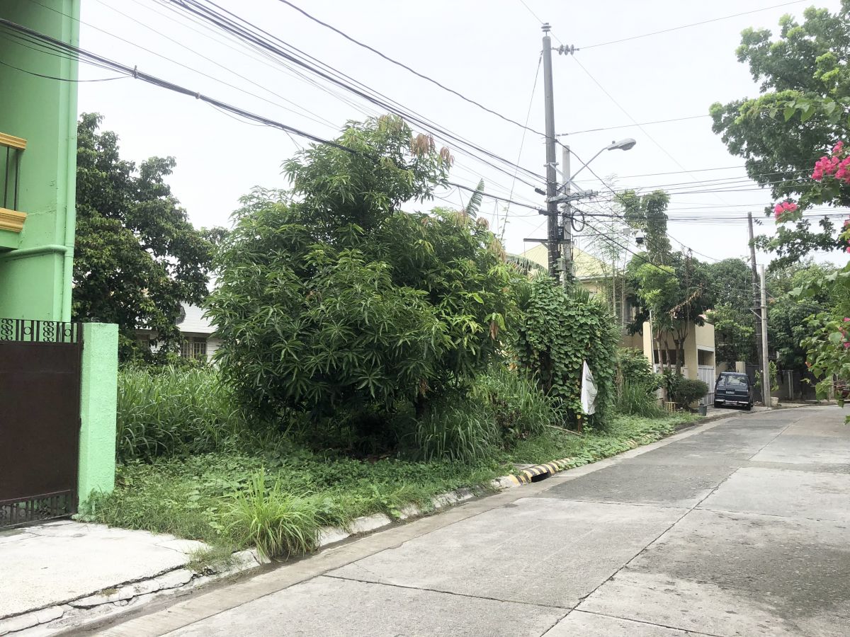 Lot for Sale in Batasan Hills Quezon City