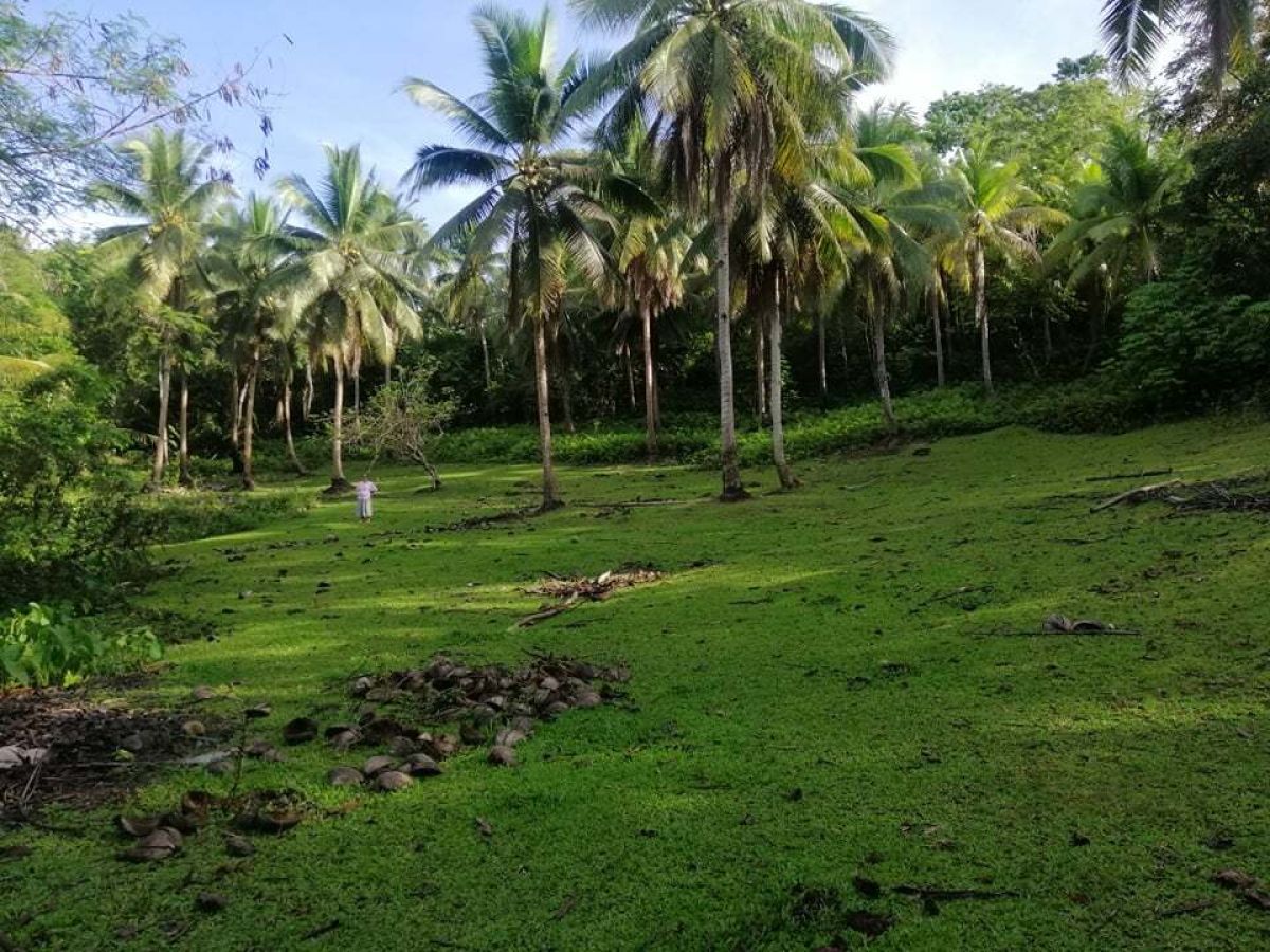Titled Farm lot for Sale in Hillongos Leyte