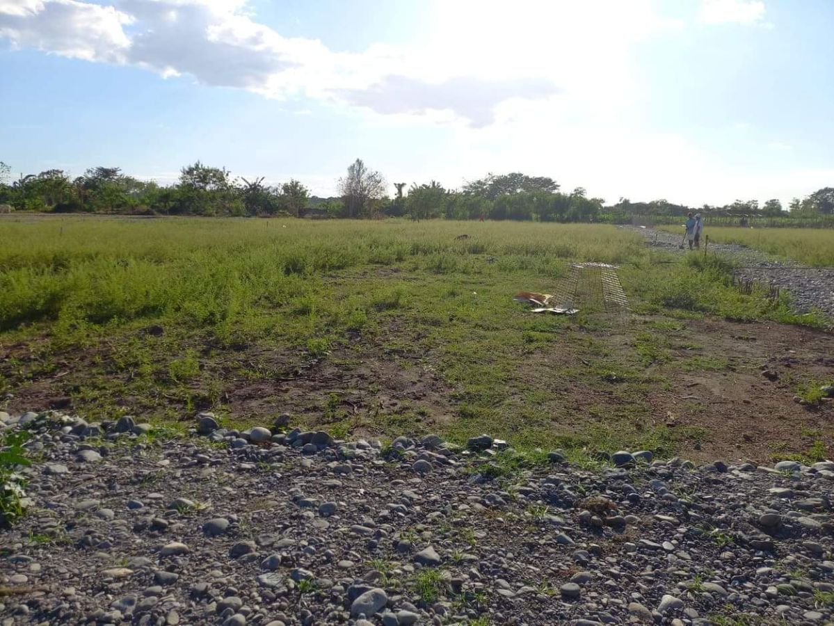 278 sqm Subdivided Residential lot for sale in Mapandan, Pangasinan
