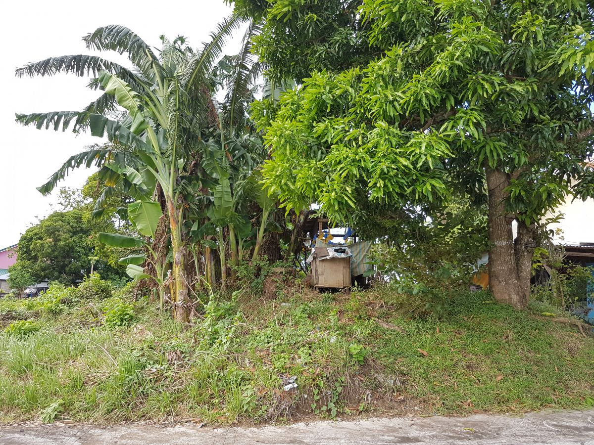 Residential Lot For Sale at Lucena, Quezon