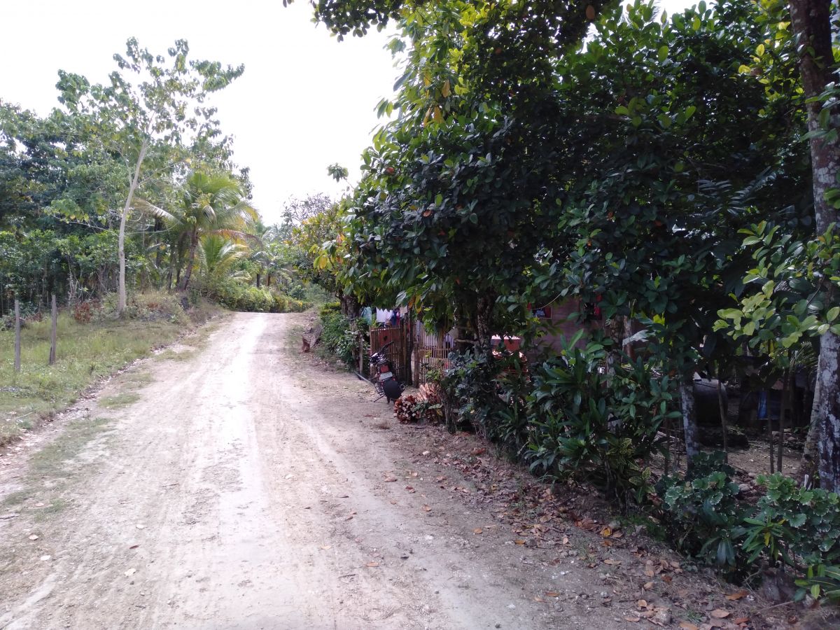 Lot With Sea View Along Barangay Road