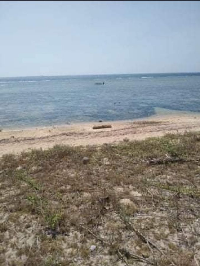 Whitesand Beach Front Lot For Sale, Tambobong Dasol, Pangasinan 3500/sqm only