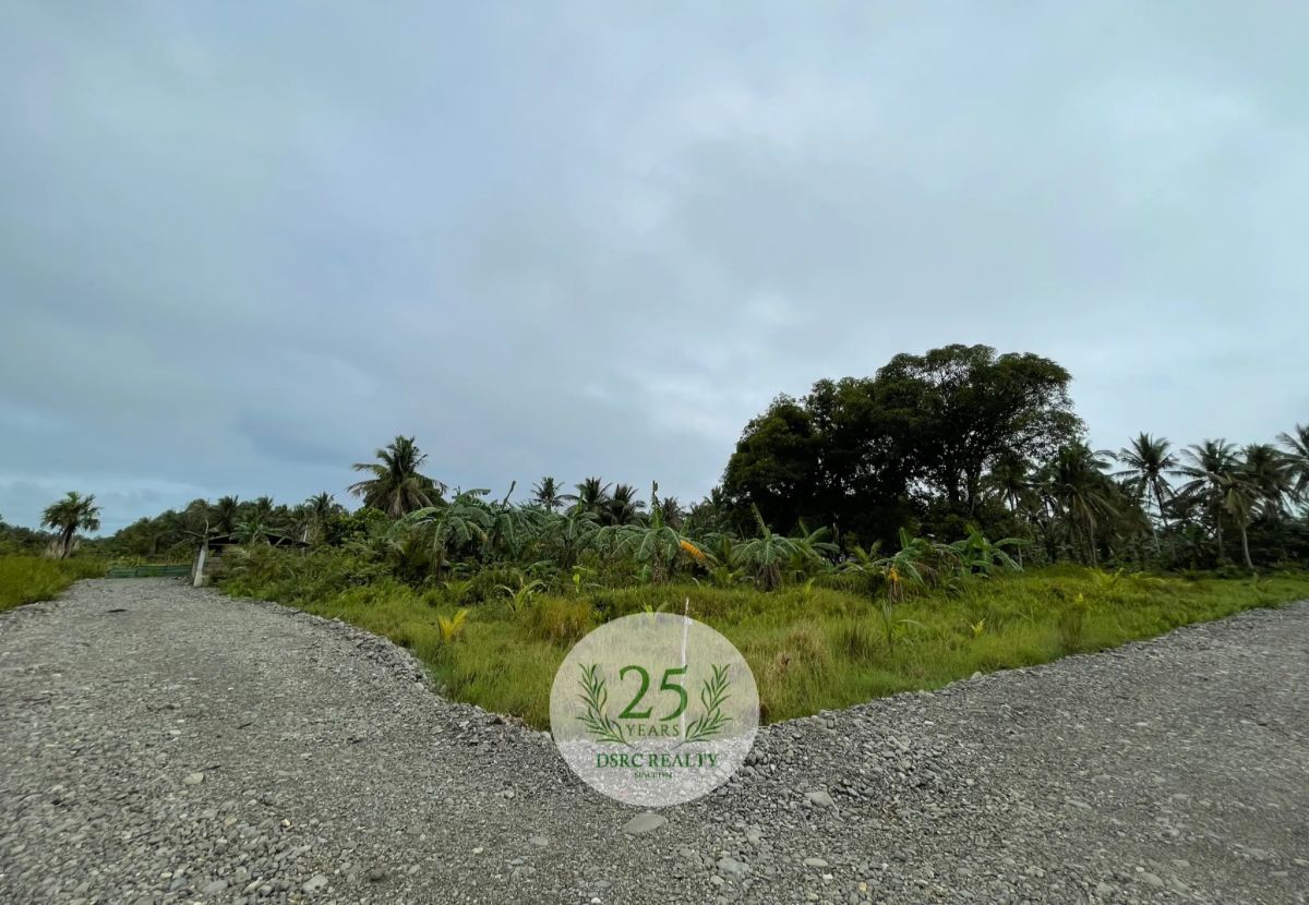 Farm Lot Walking Distance to Beach for sale in Infanta, Quezon near Fishport