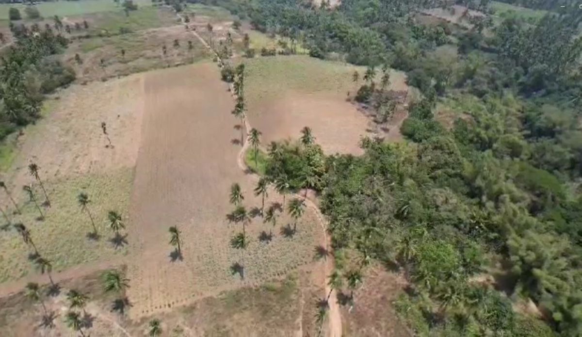 14 HECTARS LAND FOR SALE IN CALACA CITY BATANGAS
