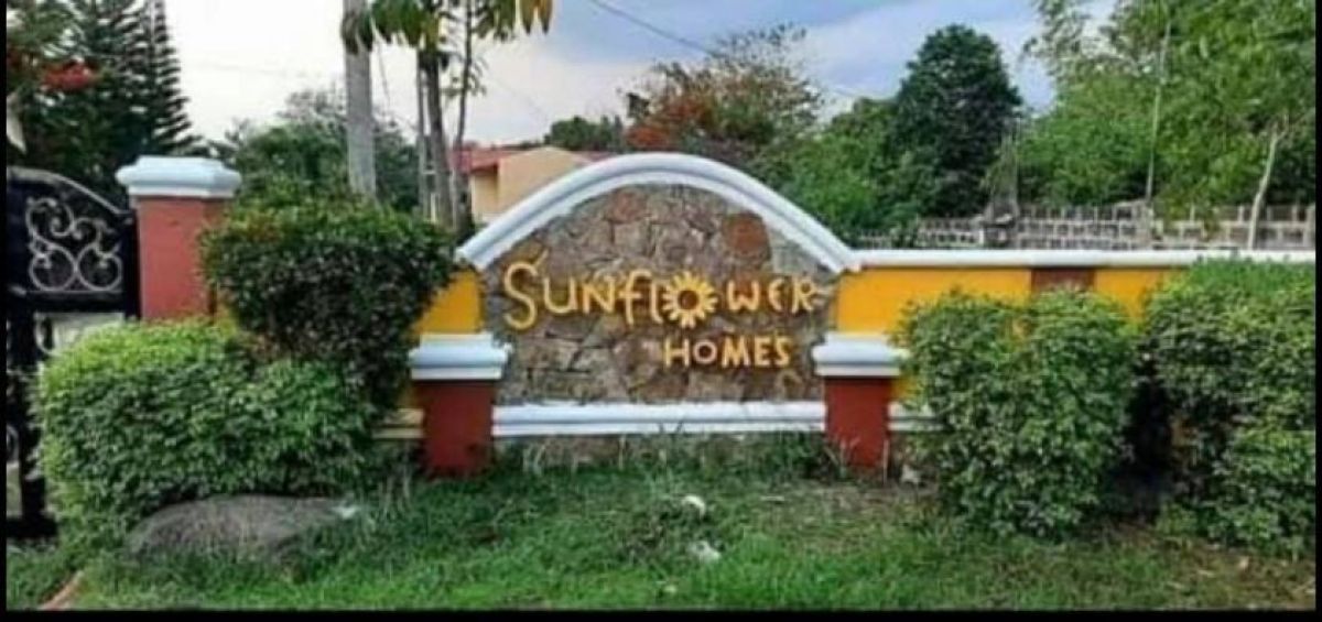 Lot for Sale in Sun Flower Homes, Angono, Rizal