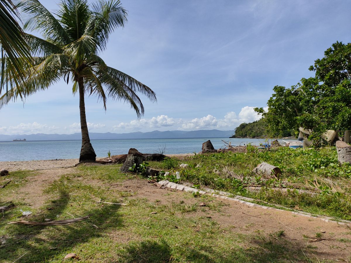 7000 sqm Beach lot for sale at Romblon