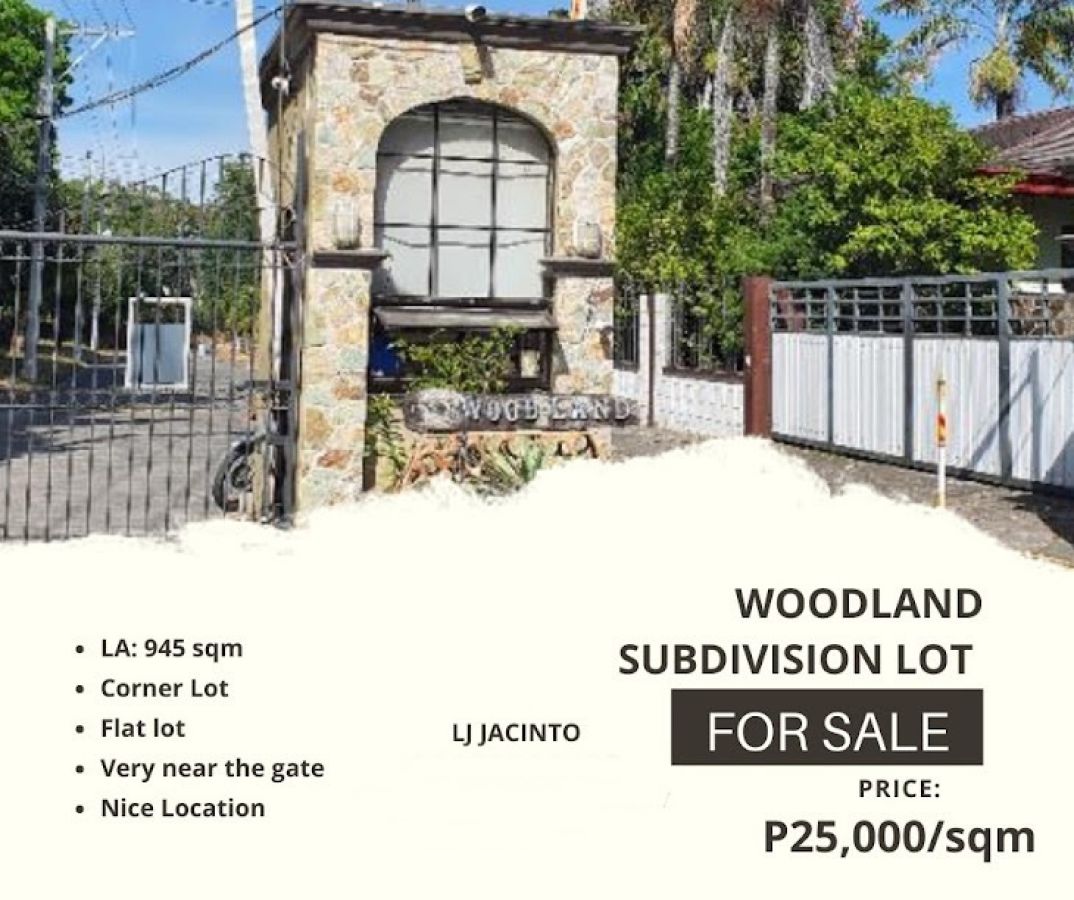 Corner Lot For Sale in Woodland Subdivision, Angeles City | 945 sqm