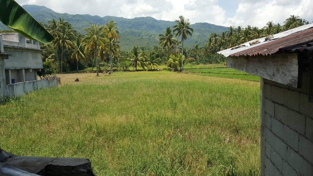 Land farming coconut in Sitio Cagbalo, tahud Inopacan, Leyte for sale